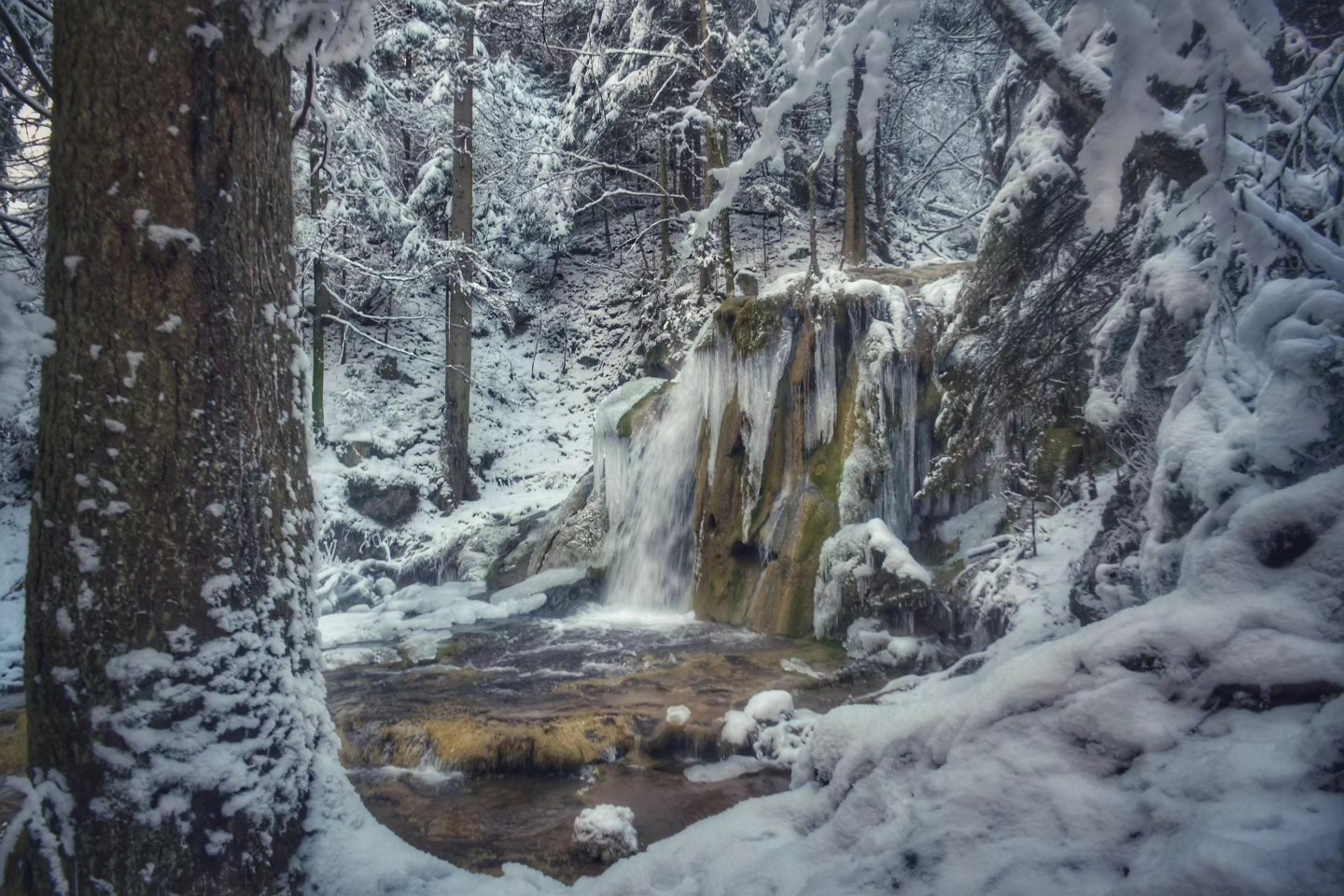 FOTO PRIČA SA IZVORA MILJACKE