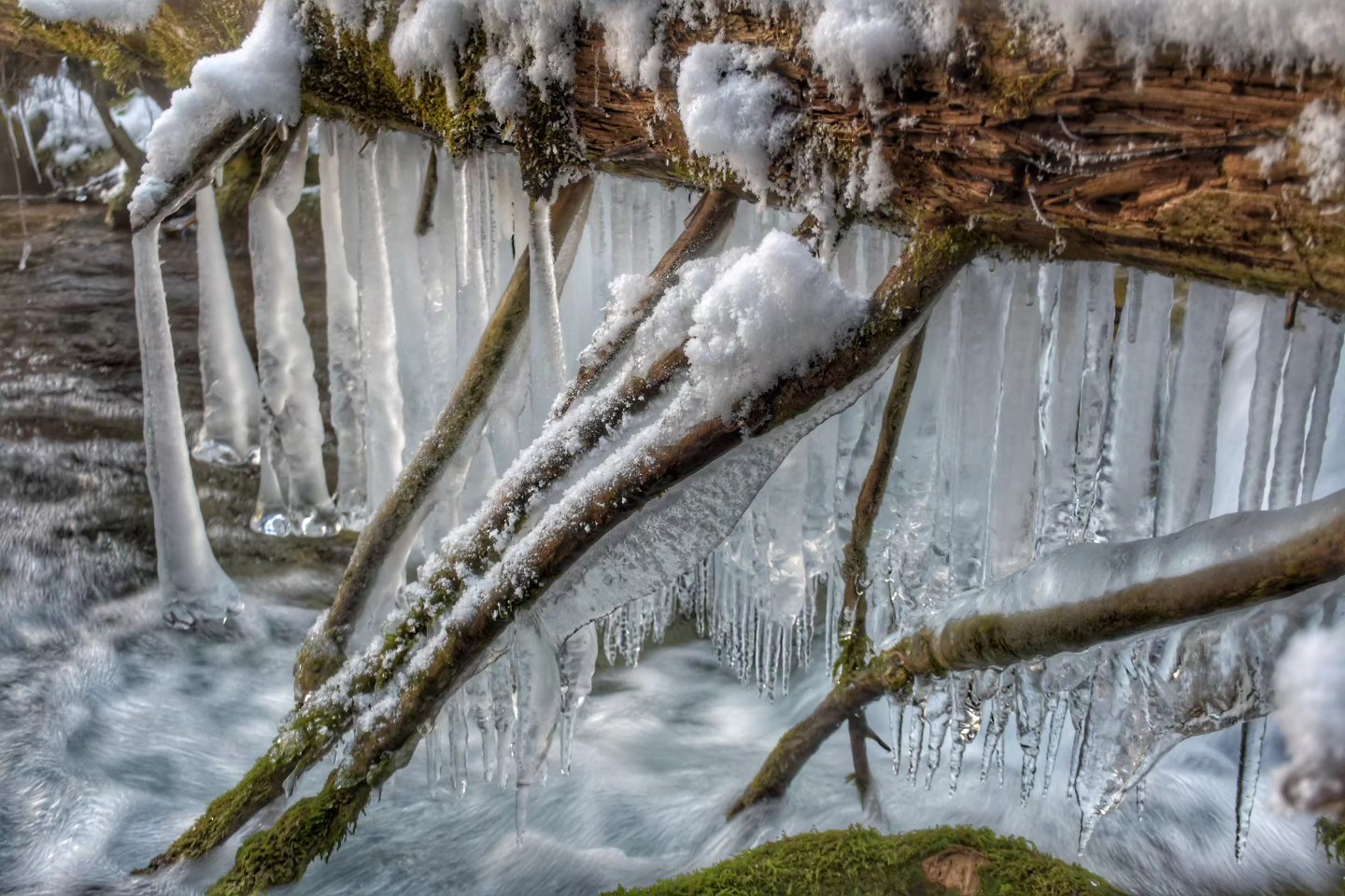 FOTO PRIČA SA IZVORA MILJACKE