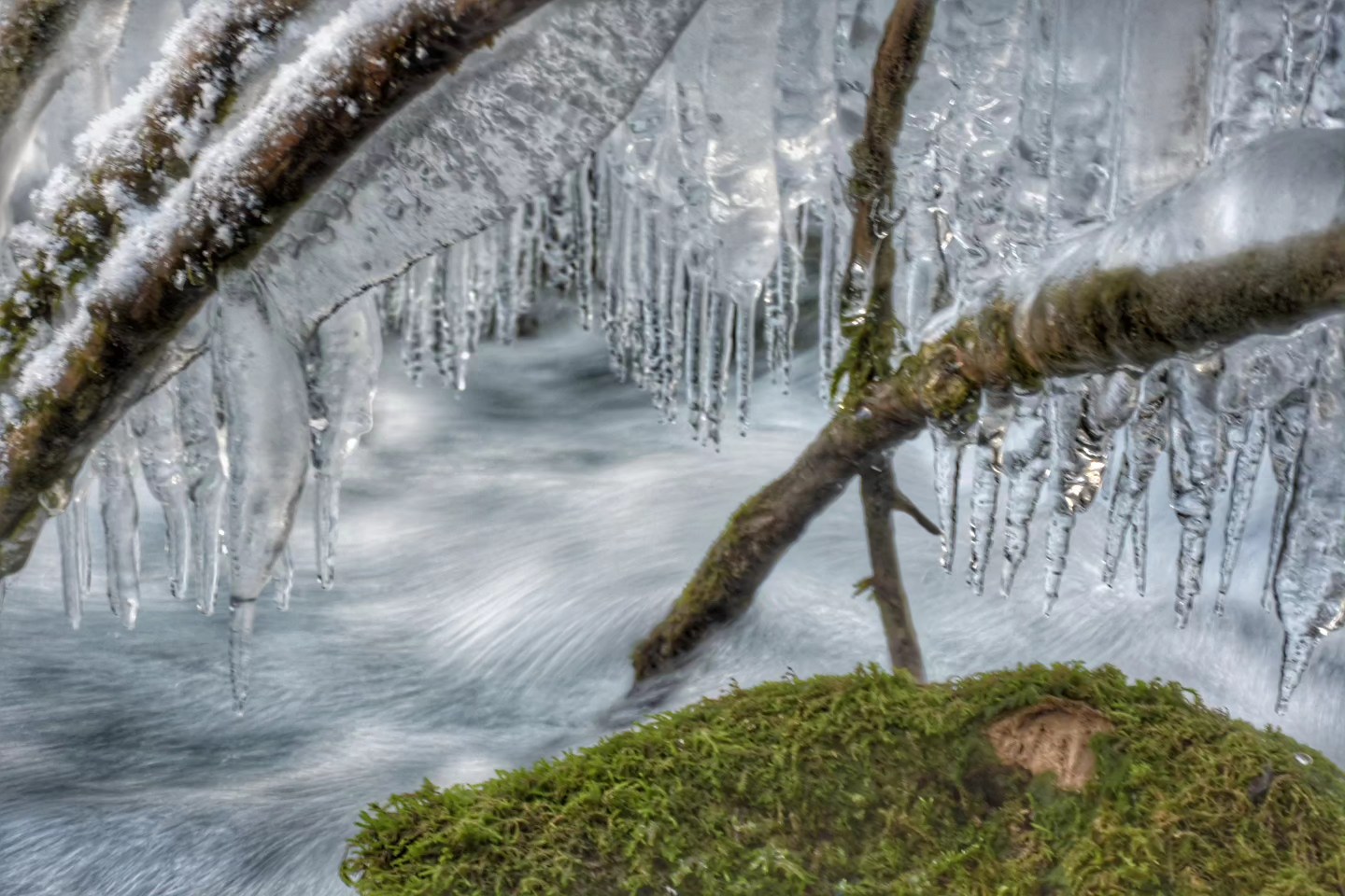 FOTO PRIČA SA IZVORA MILJACKE