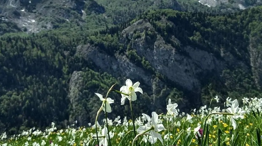 ČAROBNA FOTO PRIČA IZ NP SUTJESKA