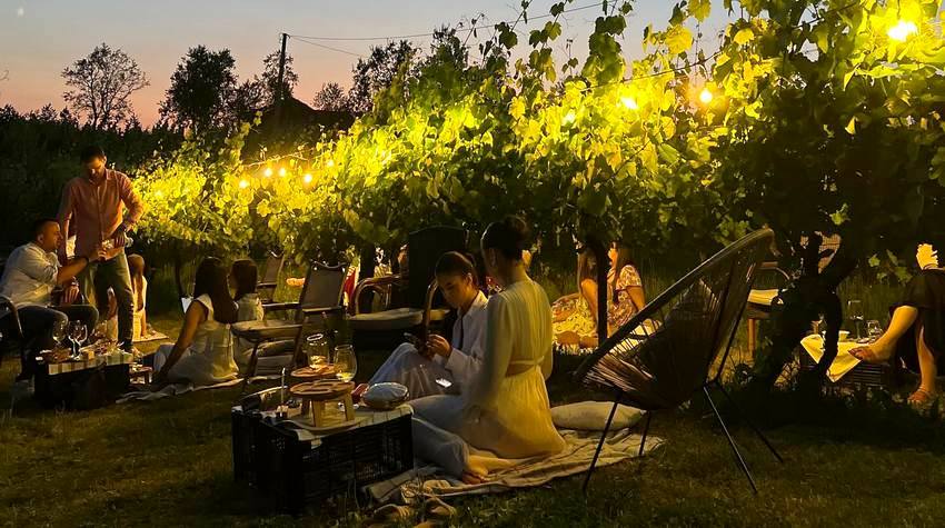 MAGICAL NIGHTS IN THE VINEYARD NEAR BANJALUKA