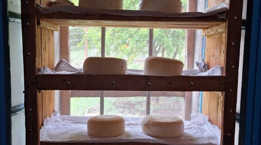 KAKO SE ČUVA TRADICIJA BILEĆKOG KRAJA