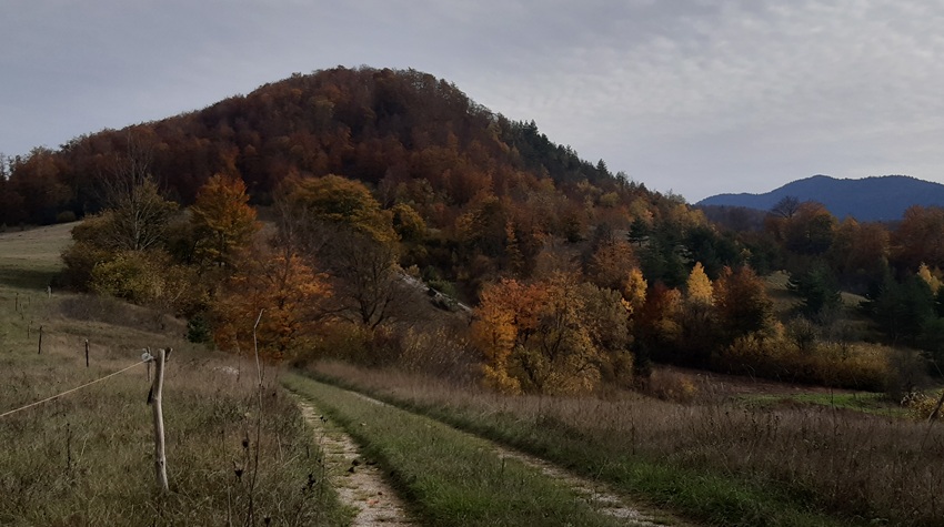 FIBULE, MILJOKAZ I ILIRSKI GRAD NA "ZADNJOJ STOPI REPUBLIKE SRPSKE"