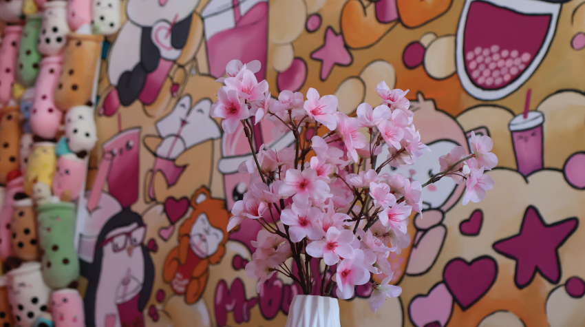 MR. BUBBLES – A PLACE WINNING THE HEARTS OF TOURISTS AND BANJALUKA LOCALS