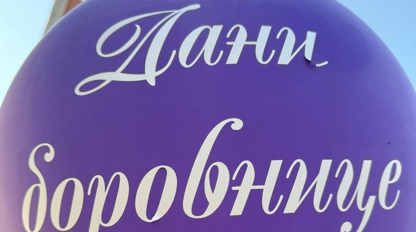 FOTO ŠETNJA KROZ FOČANSKE "DANE BOROVNICE"