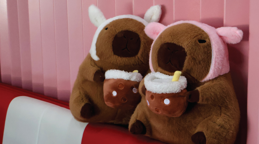 MR. BUBBLES – A PLACE WINNING THE HEARTS OF TOURISTS AND BANJALUKA LOCALS