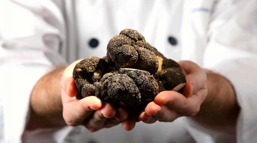 DEMAND FOR TRUFFLES ON THE RISE IN REPUBLIKA SRPSKA
