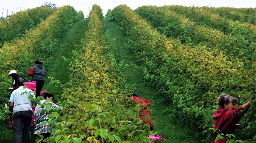 FAIRE BEERE – IZ SRCA NACIONALNOG PARKA DRINA