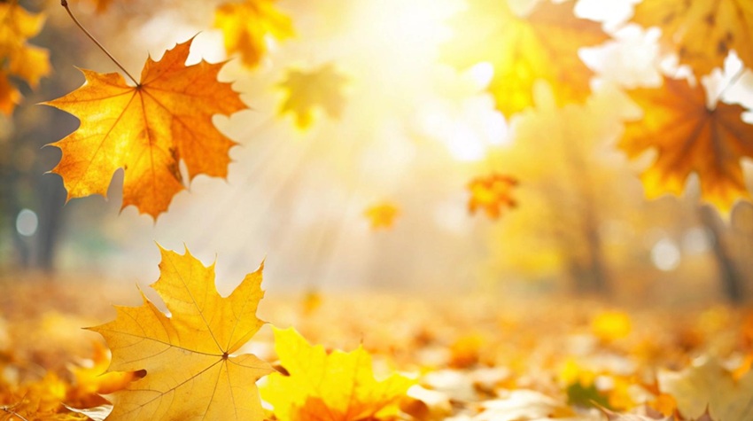 SEDMICA PUNA PREOKRETA: OD PROLJEĆA DO ZIMSKE HLAĐENOĆE