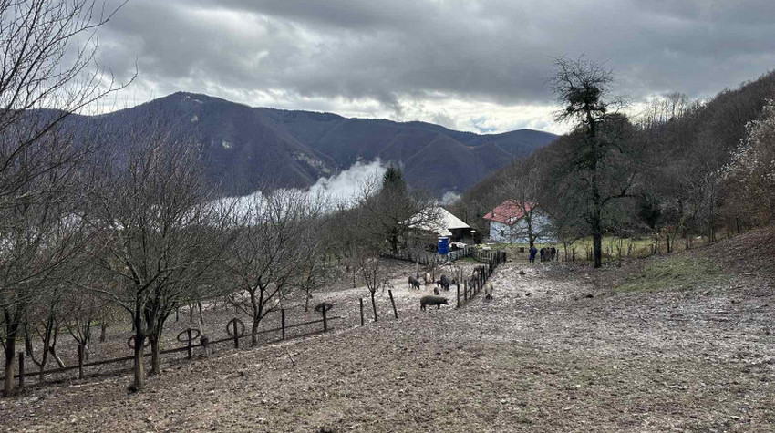 DA LI JE POVRATAK KORIJENIMA I PUT U LJEPŠU BUDUĆNOST KOZAREVINE?
