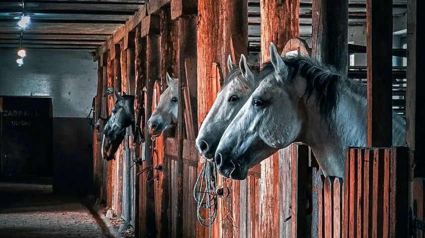 RECOMMENDATION: TOP 15 MUST-SEE PLACES WHEN VISITING THE REPUBLIC OF SRPSKA