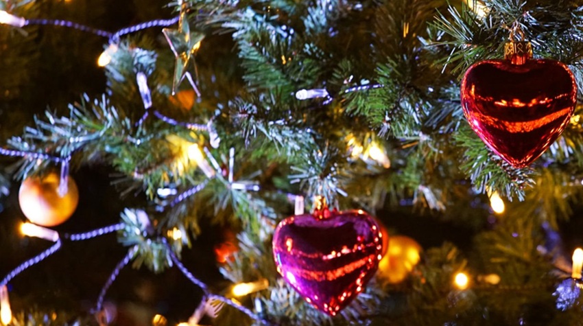 BIRAMO NAJLJEPŠU JELKU – NAGRADE NEOBIČNO ODLIČNE