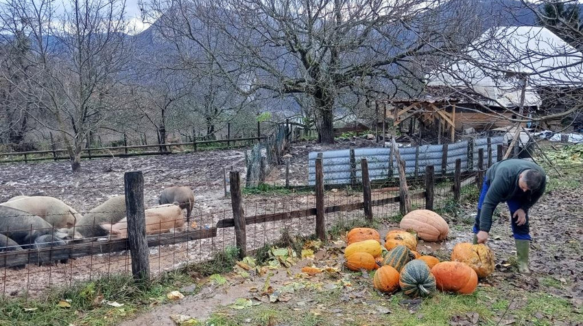 DA LI JE POVRATAK KORIJENIMA I PUT U LJEPŠU BUDUĆNOST KOZAREVINE?