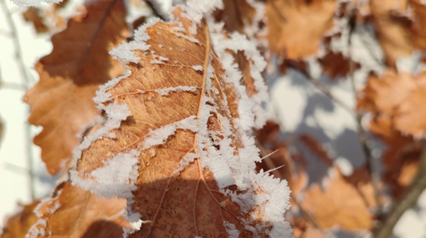 WHAT IT MEANS WHEN IT SNOWS ON CHRISTMAS