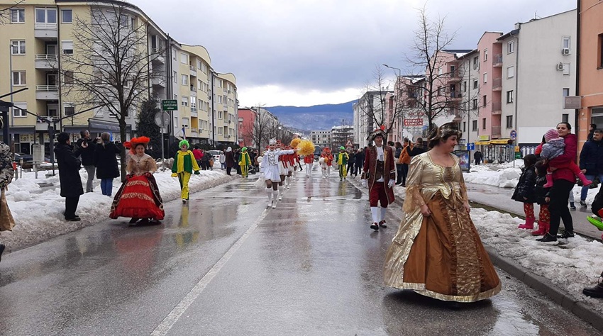 CVIJET MIMOZE U ZIMSKOM RUHU