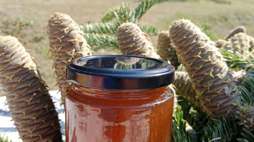 DELICACIES FROM KUPRES REACH THE UNITED STATES