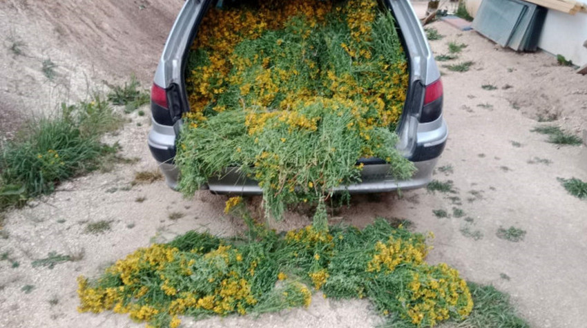 DELICACIES FROM KUPRES REACH THE UNITED STATES