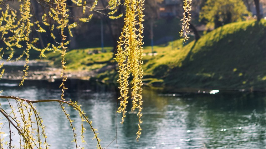 BANJA LUKA SOON IN ITS MOST BEAUTIFUL SPRING LOOK (PHOTOS)