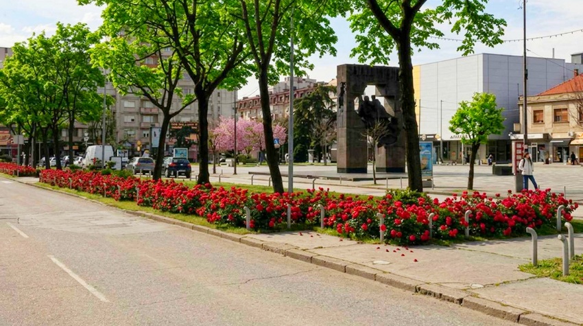 U CENTRU BIJELJINE - USKORO 1.000 CRVENIH RUŽA