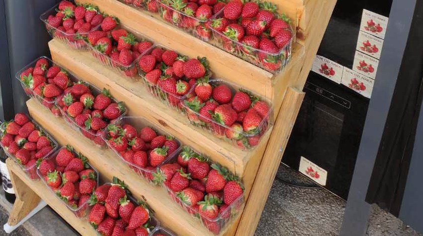 NA BANJALUČKU TRŽNICU STIGLE DOMAĆE JAGODE IZ HERCEGOVINE