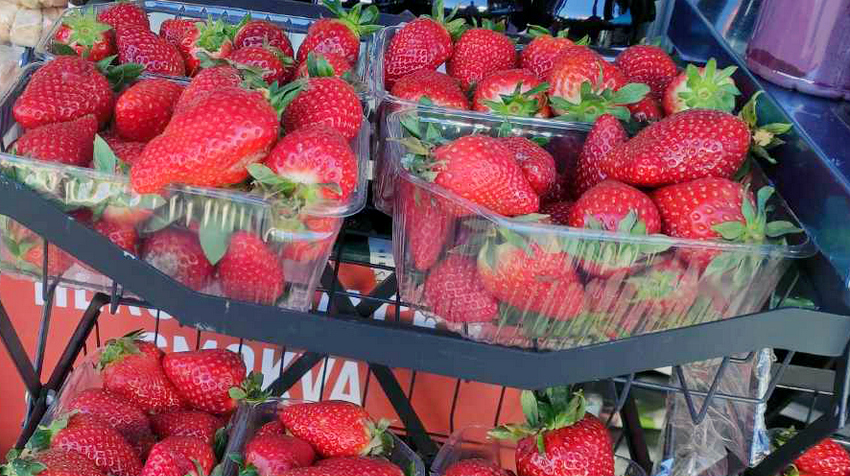 NA BANJALUČKU TRŽNICU STIGLE DOMAĆE JAGODE IZ HERCEGOVINE