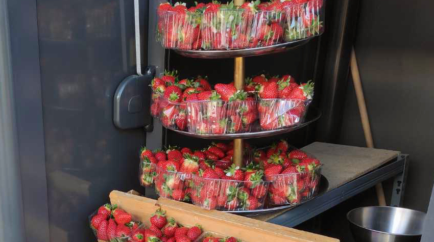 NA BANJALUČKU TRŽNICU STIGLE DOMAĆE JAGODE IZ HERCEGOVINE