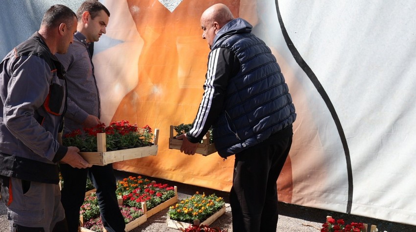 ZA LJEPŠI DOBOJ: PODIJELJENO VIŠE OD 12.000 SADNICA CVIJEĆA