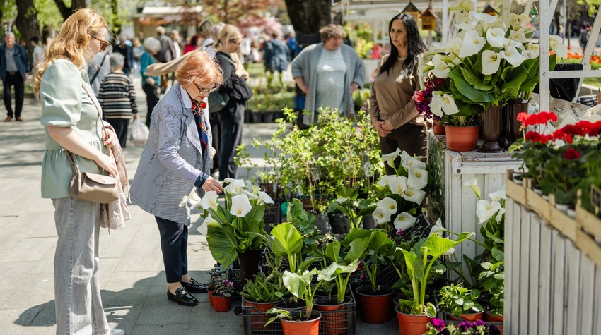 FESTIVALOM CVIJAĆA POČELO "BANJALUČKO PROLJEĆE"
