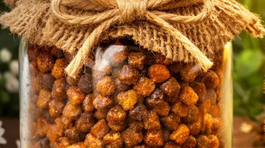 PERGA  PRIRODNI IZVOR ENERGIJE I IMUNITETA IZ KOŠNICE