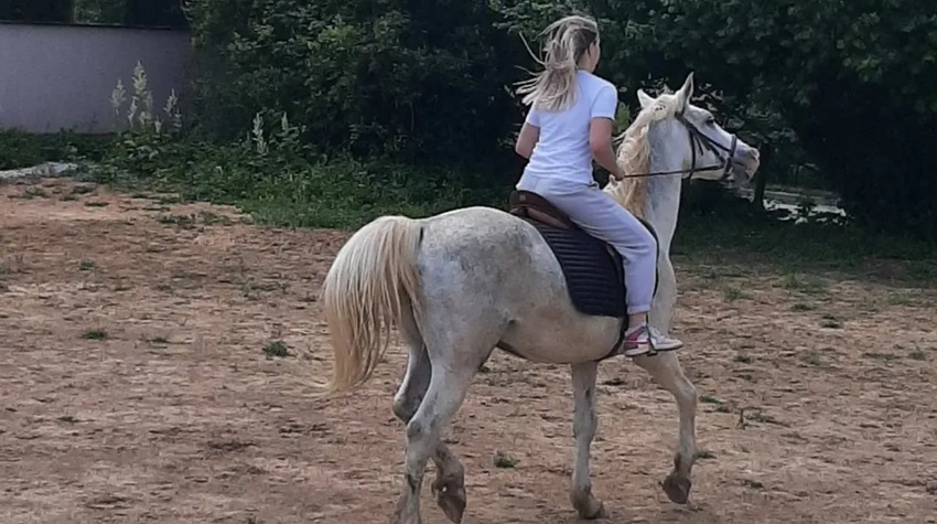 DEDA SIMIN RANČ POSTAJE HIT DESTINACIJA ZA LJUBITELJE KONJA I PRIRODE