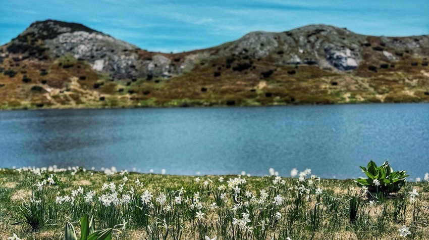 KAKO JE IZGLEDAO FOTO SAFARI NA ZELENGORI