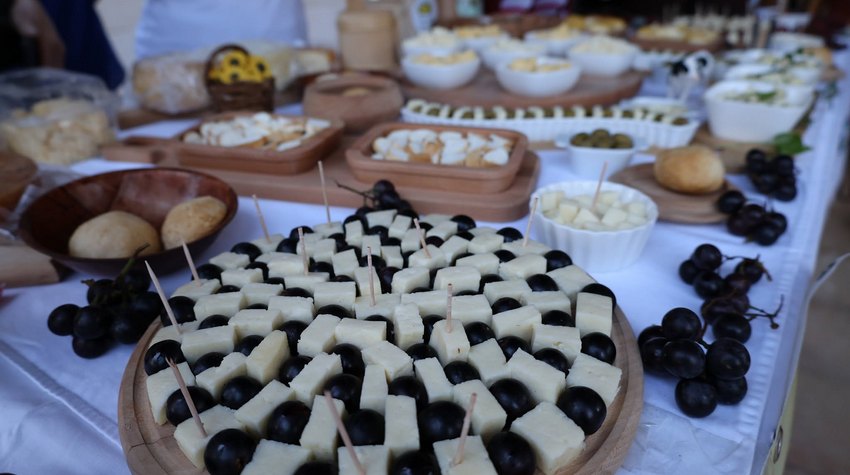 FOTO PRIČA SA VIŠEGRADSKOG FESTIVALA VINA I SIRA