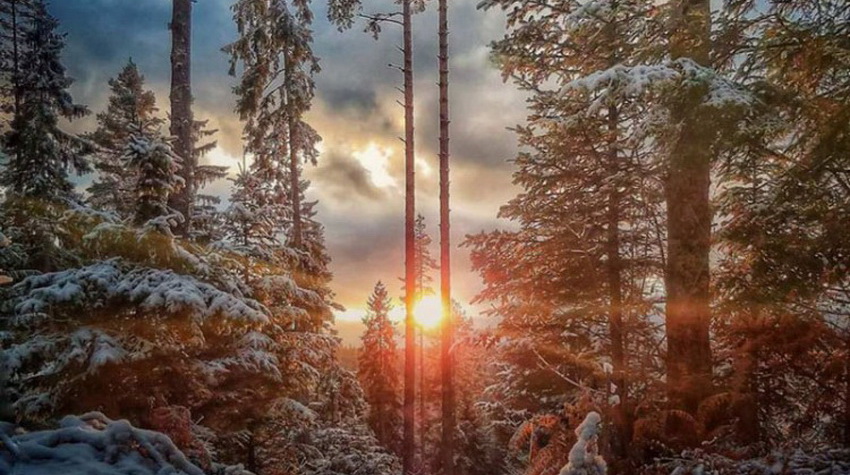 ČAROBNI ZALAZAK SUNCA NA PLANINI JAVOR