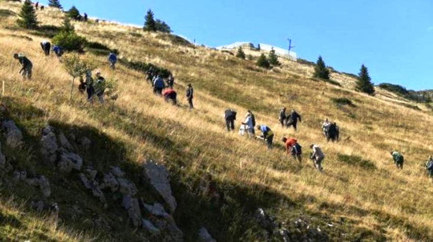 JAHORINA BOGATIJA ZA 10 000 SADNICA SMRČE I BIJELOG BORA