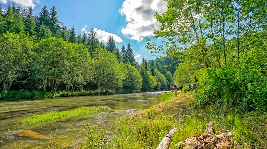 SOKOLAC REKAO "STOP BRANAMA" BEZ DOZVOLE GRAĐANA