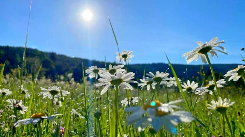 LJEPOTA SOKOLAČKOG SELA KRUŠEVCI ZABILJEŽENA DRONOM (VIDEO)
