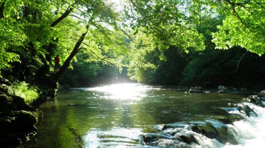 DRINJAČA RAJ ZA RIBARE I IZLETNIKE