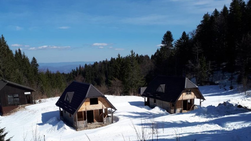 JAVOR ČUVA I RIJETKE PRIMJERKE PANČIĆEVE OMORIKE
