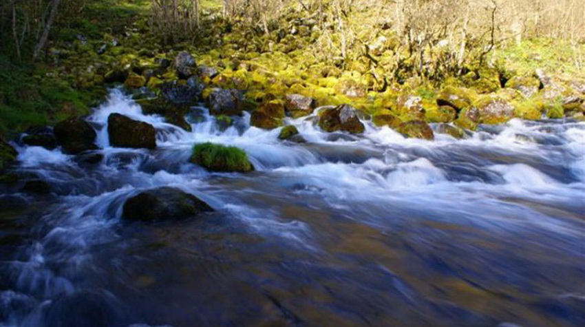 PLIVA JE NAJVEĆE IZVORIŠTE PITKE VODE U EVROPI