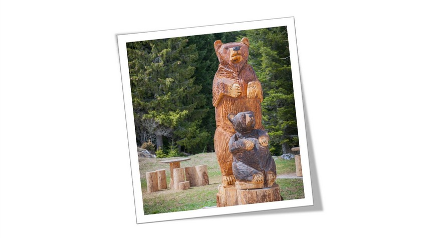 STATUA MEČKE I MEČETA NOVA ATRAKCIJA NA ROMANIJI (VIDEO)