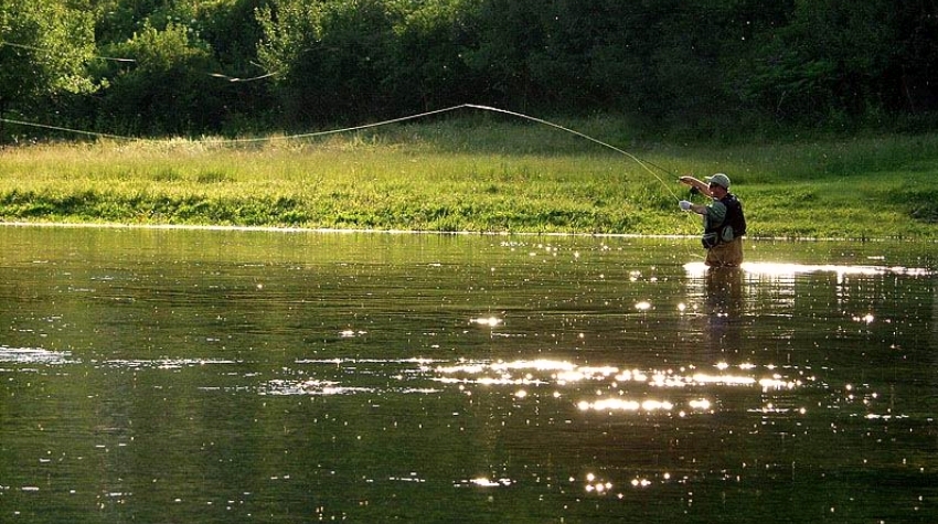 PLIVA: RAJ ZA MUŠIČARENJE (VIDEO)