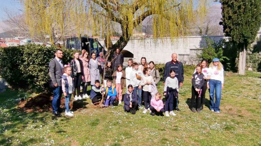 U TREBINJU POSAĐENO MEDONOSNO DRVO