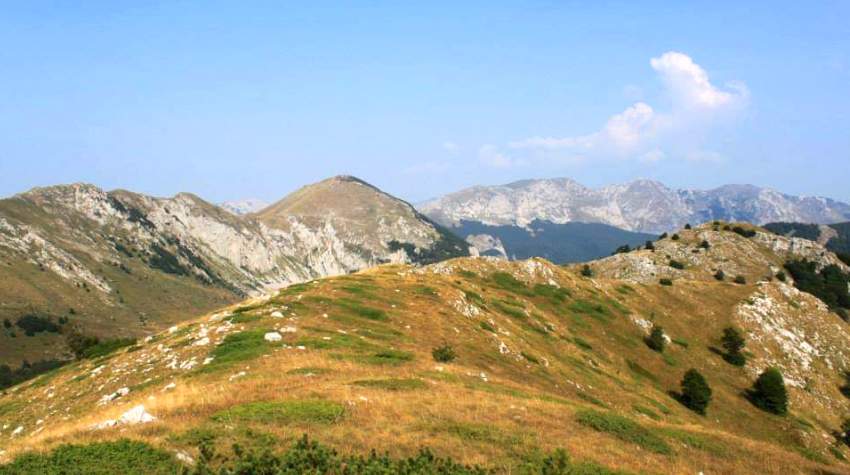 AMERIKANCIMA BIH ATRAKTIVNIJA OD HAVAJA! (VIDEO)