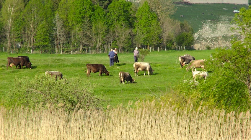 FOTO REPORTAŽA KROZ NAJVEĆE KRAŠKO POLJE U HERCEGOVINI