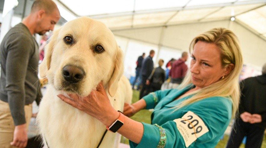 VIŠE OD 1000 PASA NA IZLOŽBI U NAJVEĆEM GRADU SRPSKE