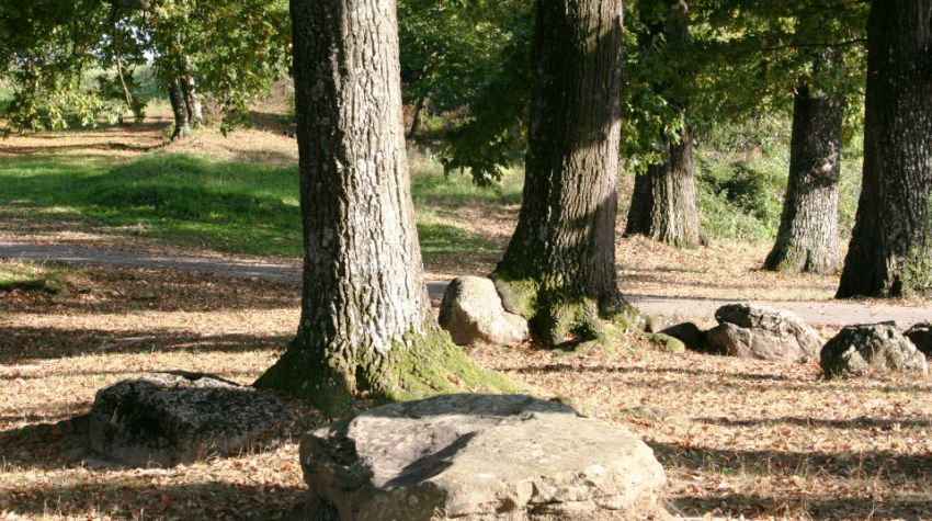 PJESMA, IGRA I ŠARENILO KULTURA POD PLATANIMA