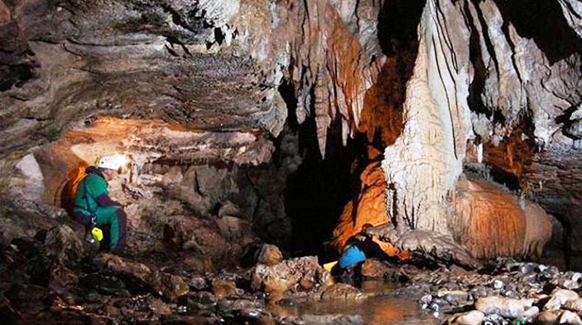 U PEĆINI KOD MOKROG PRONAĐENE NOVE ŽIVOTINJSKE VRSTE