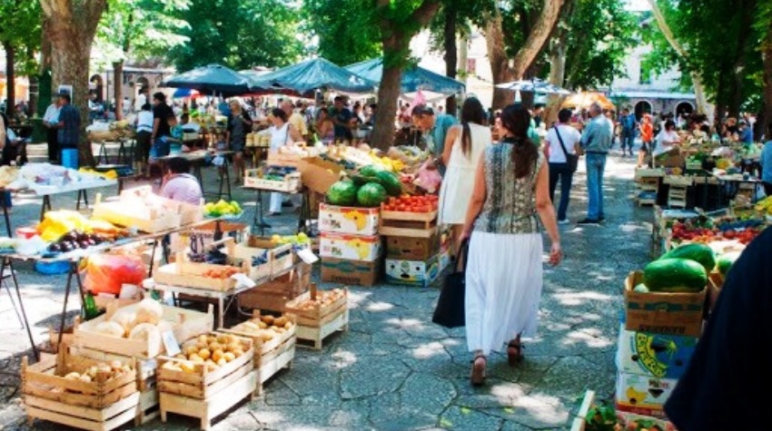 ŠARENILO VOĆA I POVRĆA PONOVO POD PLATANIMA