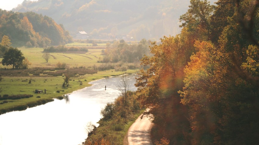 PLJEVA U ZLATNIM BOJAMA JESENI