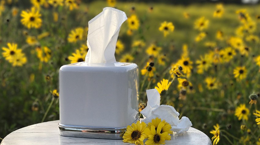 BANJALUKA DOBILA POLENSKI SEMAFOR